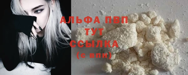 mix Инта