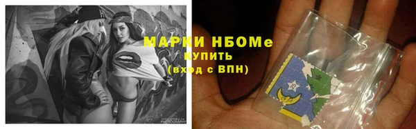 прущий лед Инсар