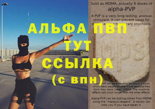 mix Инта