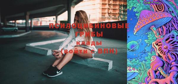 прущий лед Инсар