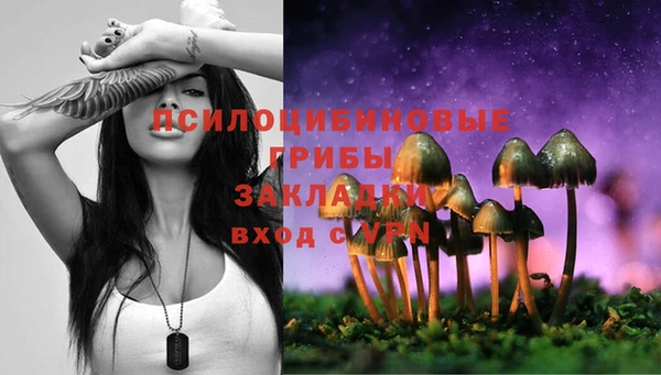 прущий лед Инсар