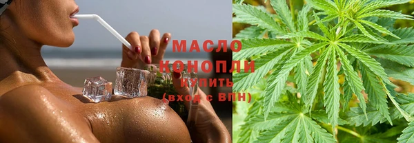 mix Инта