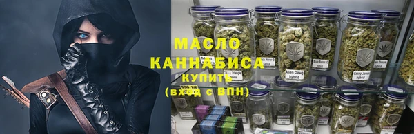 mix Инта