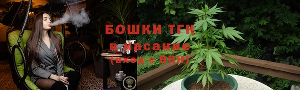 прущий лед Инсар