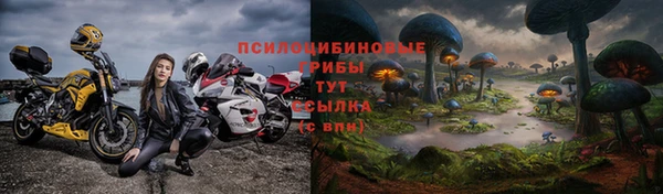 прущий лед Инсар